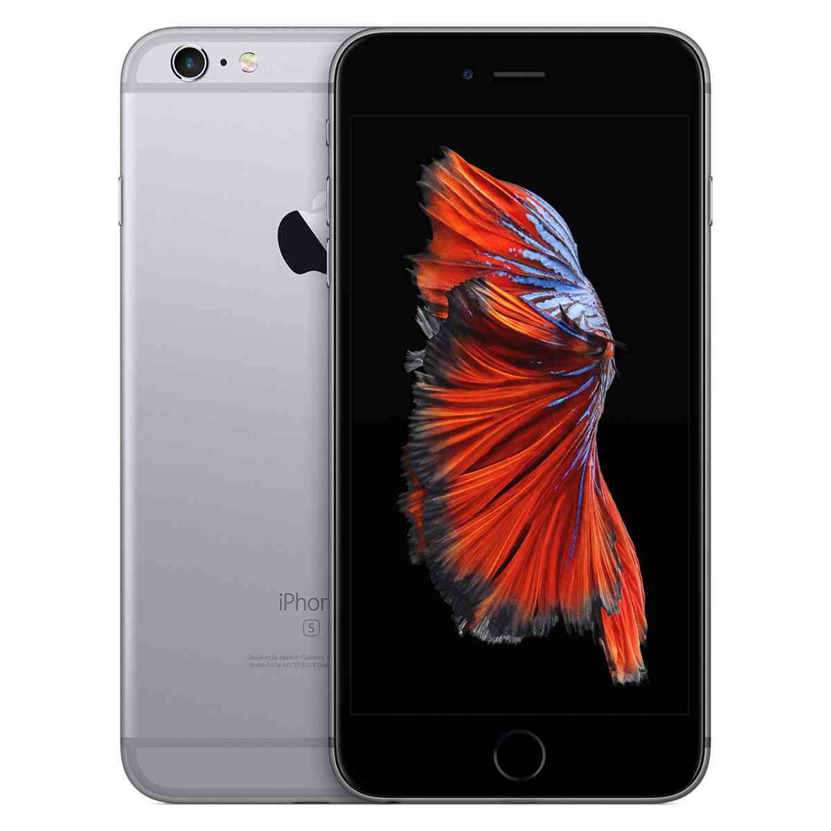 slider-image
