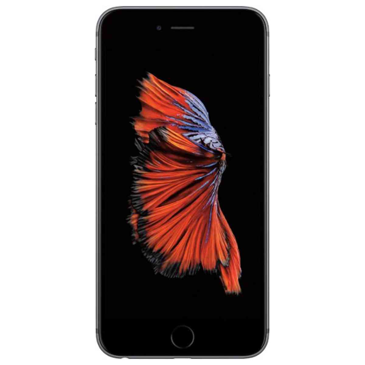 slider-image