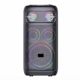 BTS-2509 8 Inch Wireless Portable Bluetooth Speaker With Dual Mic