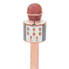 Mic With Children's Speaker