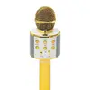 Mic With Children's Speaker