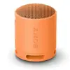 Sony SRS-XB100 Wireless Portable Speaker